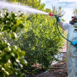 Γεωργικά Φάρμακα